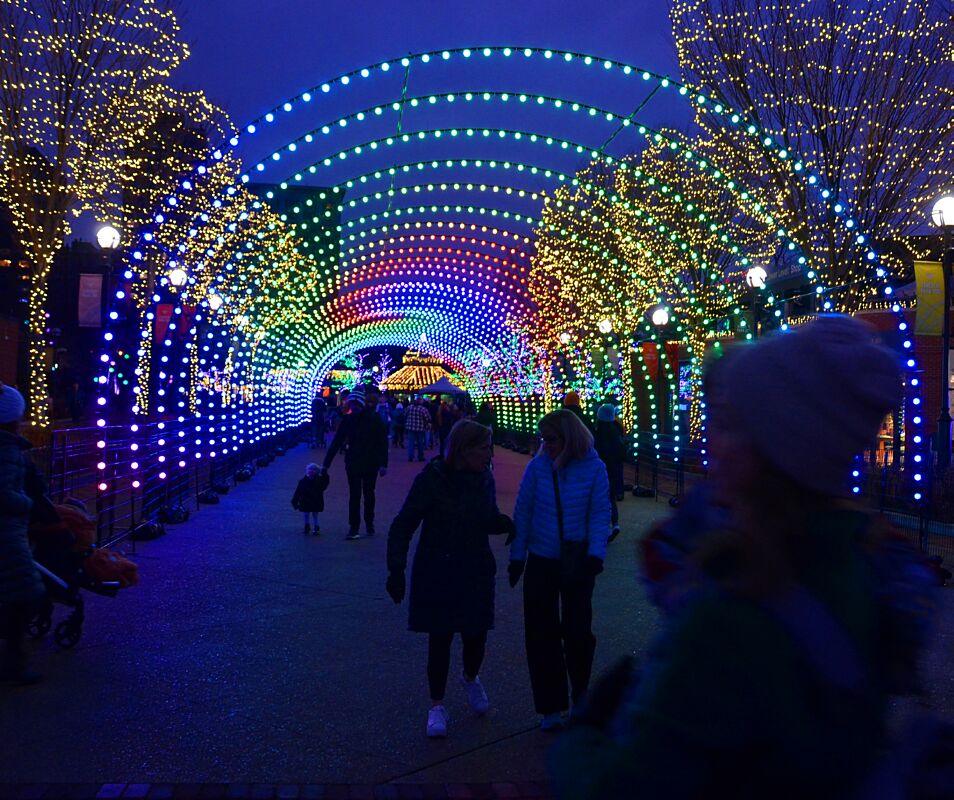 Zoo Lights_01